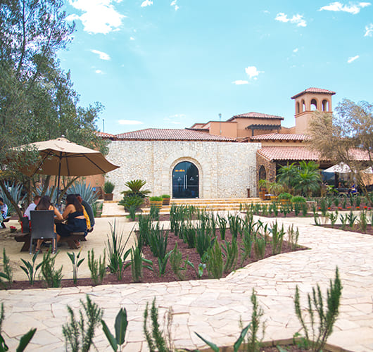 El Cielo Resort Valle de Guadalupe - Hotel Resort Con Viñedo en Valle de Guadalupe, Baja California - Vista 2 de 3 de las instalaciones y espacios del lugar