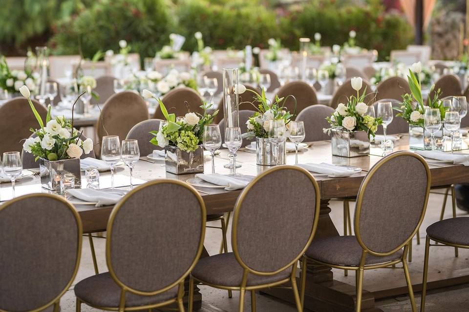 Luna del Valle - Jardín Con Viñedo en Valle de Guadalupe, Baja California - Vista 3 de 5 de las instalaciones y espacios del lugar