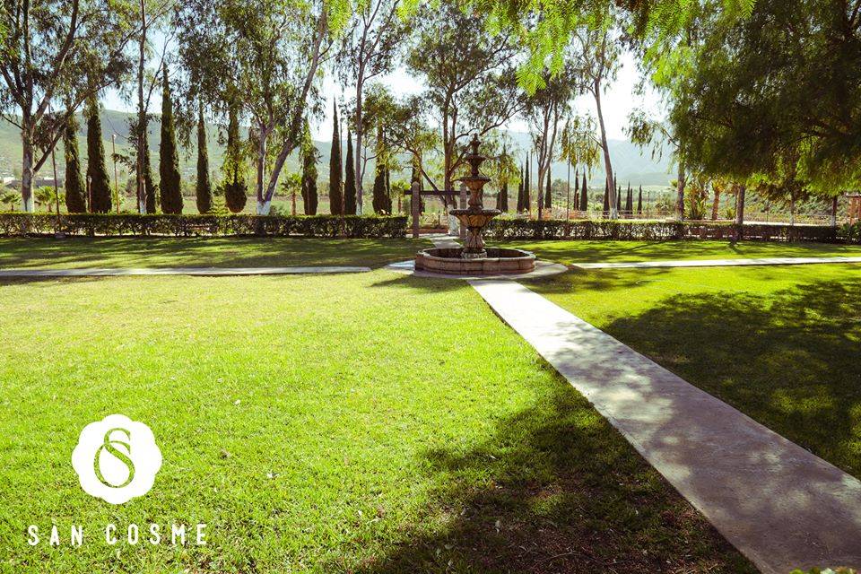 San Cosme Viñedos - Viñedo Para Eventos en Ensenada, Baja California - Vista 4 de 5 de las instalaciones y espacios del lugar