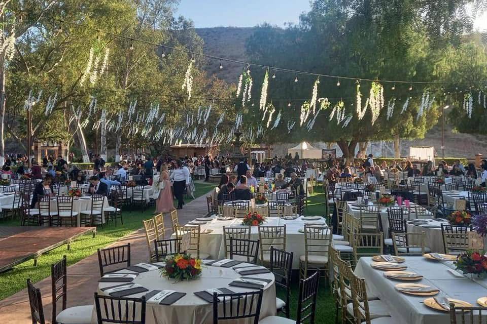 San Cosme Viñedos - Viñedo Para Eventos en Ensenada, Baja California - Vista 5 de 5 de las instalaciones y espacios del lugar