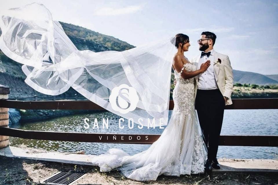 San Cosme Viñedos - Viñedo Para Eventos en Ensenada, Baja California - Vista 2 de 5 de las instalaciones y espacios del lugar