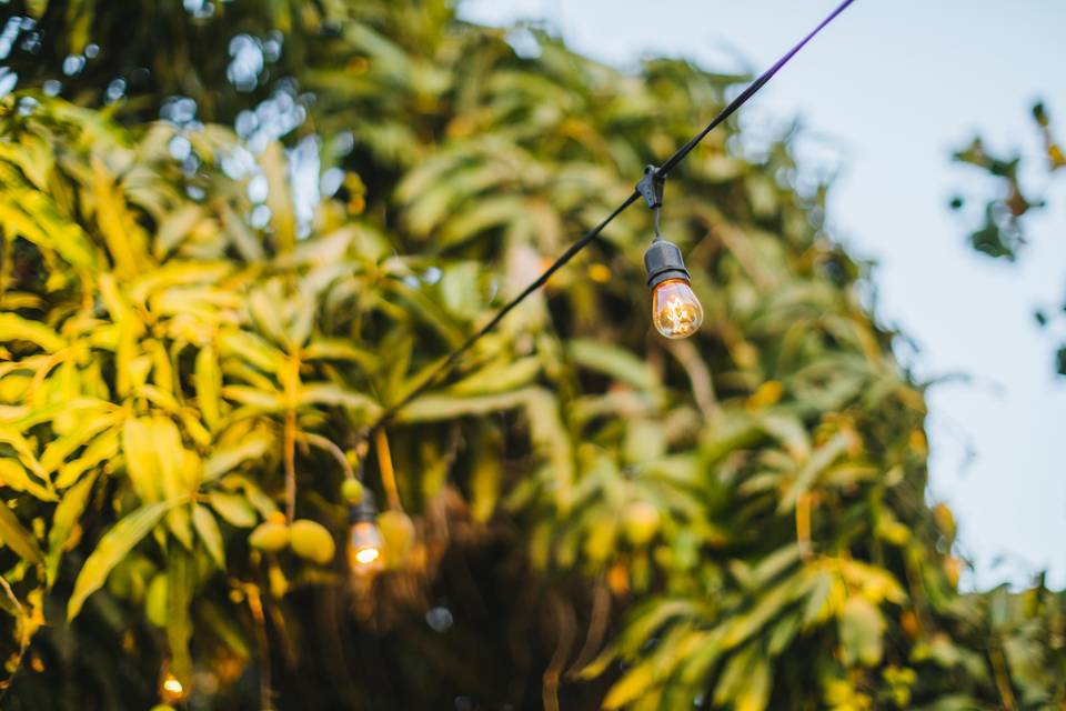 La Jima - Jardín Para Eventos en La Paz, Baja California Sur - Vista 4 de 4 de las instalaciones y espacios del lugar