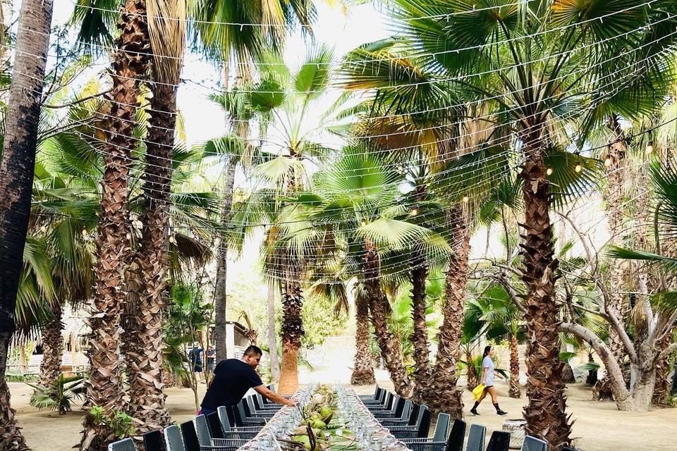 Rancho Corazón - Jardín Para Eventos en La Paz, Baja California Sur - Vista 2 de 4 de las instalaciones y espacios del lugar