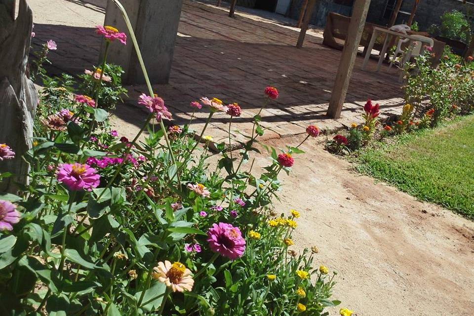 Eventos lribe - Salón Con Jardín en Mexicali, Baja California - Vista 4 de 8 de las instalaciones y espacios del lugar