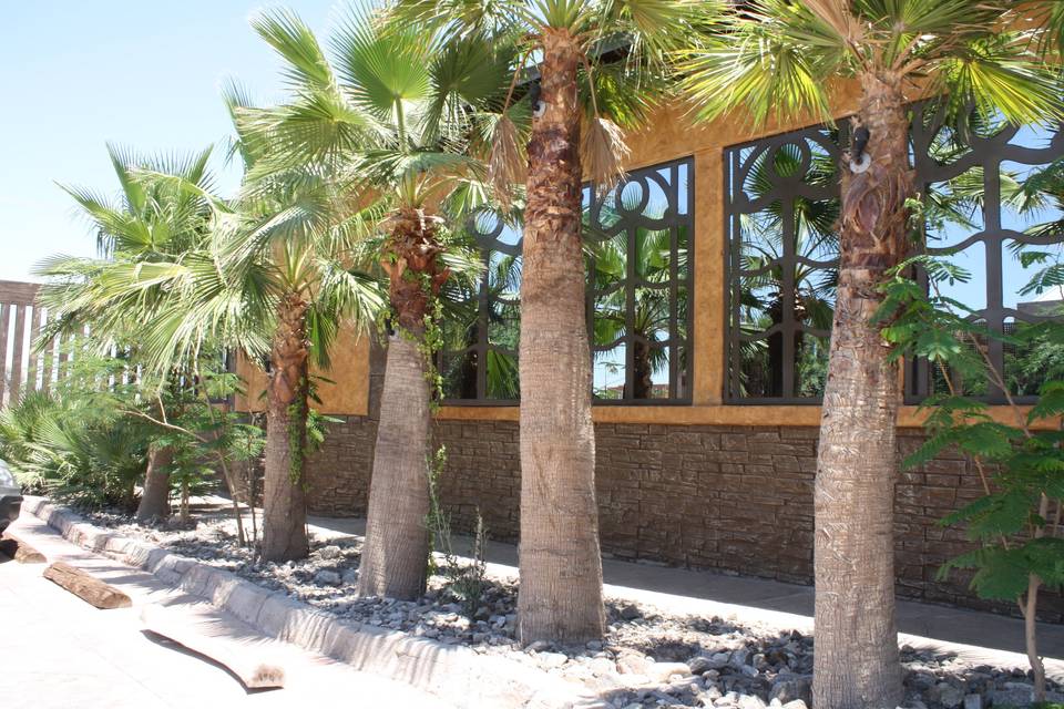 La Pérgola - Jardín Para Eventos en Mexicali, Baja California - Vista 4 de 4 de las instalaciones y espacios del lugar