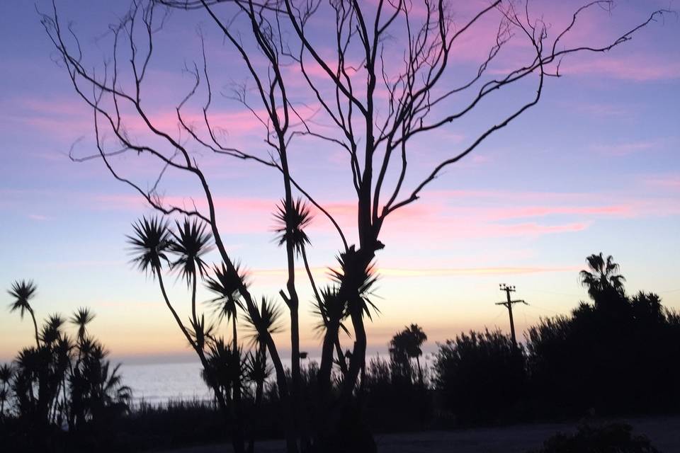 Patio Aves del Paraíso - Jardín Para Eventos en Tijuana, Baja California - Vista 6 de 6 de las instalaciones y espacios del lugar