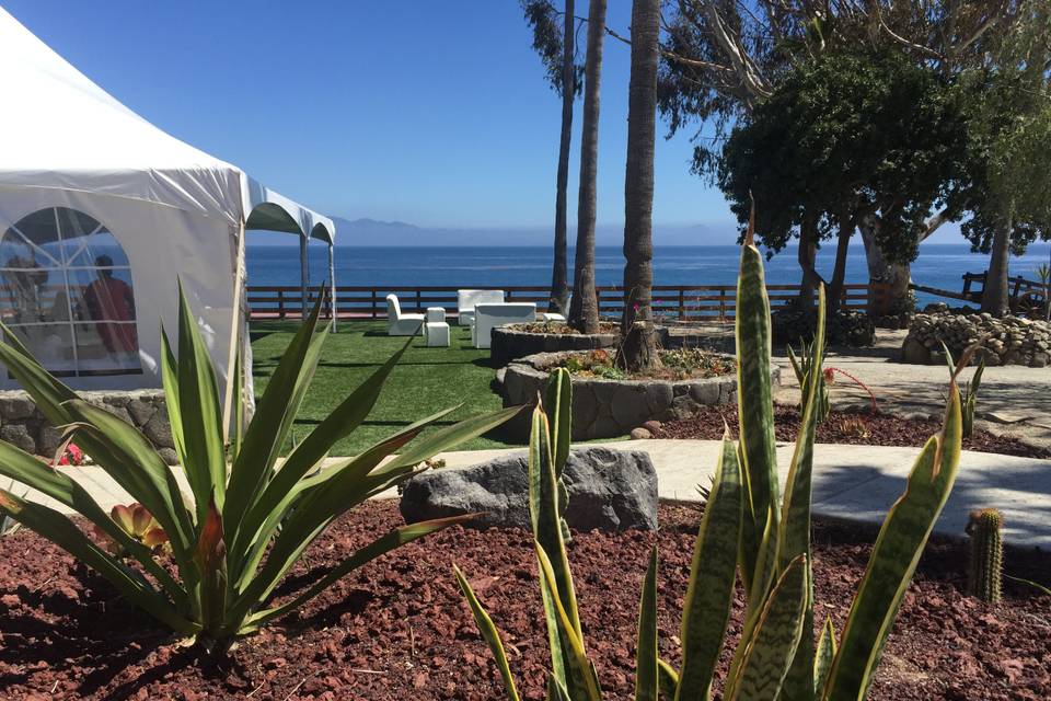 Patio Aves del Paraíso - Jardín Para Eventos en Tijuana, Baja California - Vista 2 de 6 de las instalaciones y espacios del lugar