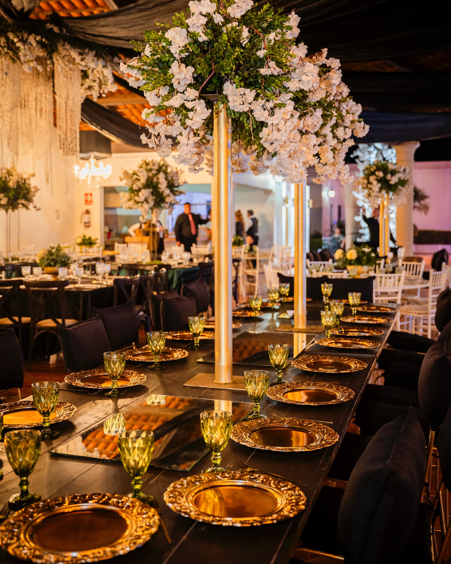 test Lugar 123 -  Salón De Eventos en Culiacán, Sinaloa - Vista 3 de 3 de las instalaciones y espacios del lugar