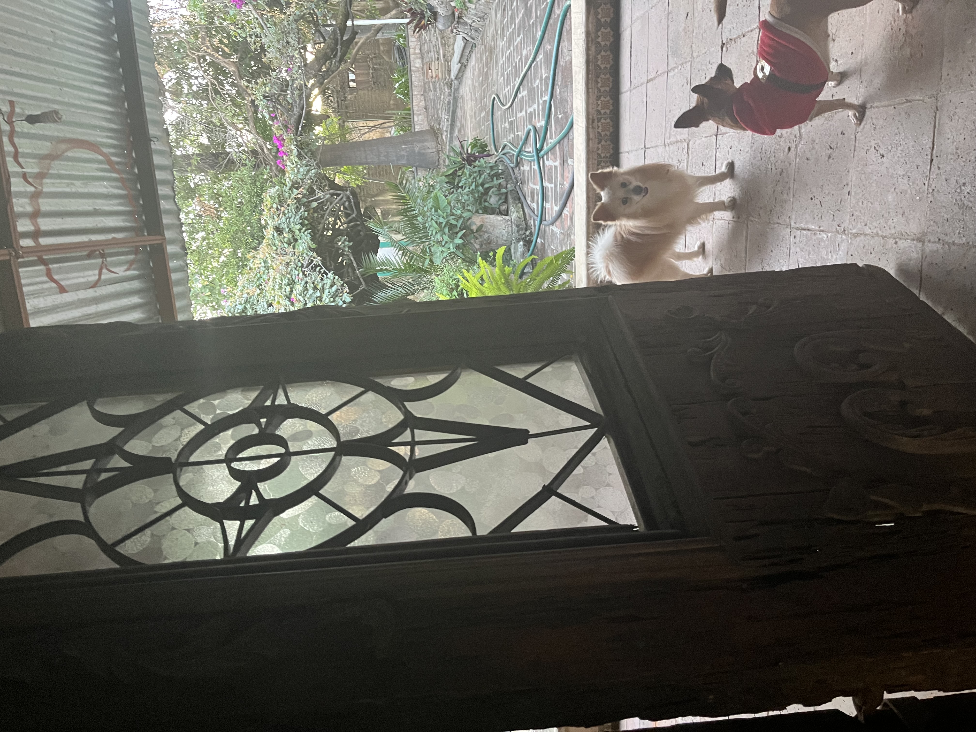 Haciendacordova - Hacienda Para Eventos en Oaxaxa, Oaxaca - Vista 6 de 37 de las instalaciones y espacios del lugar