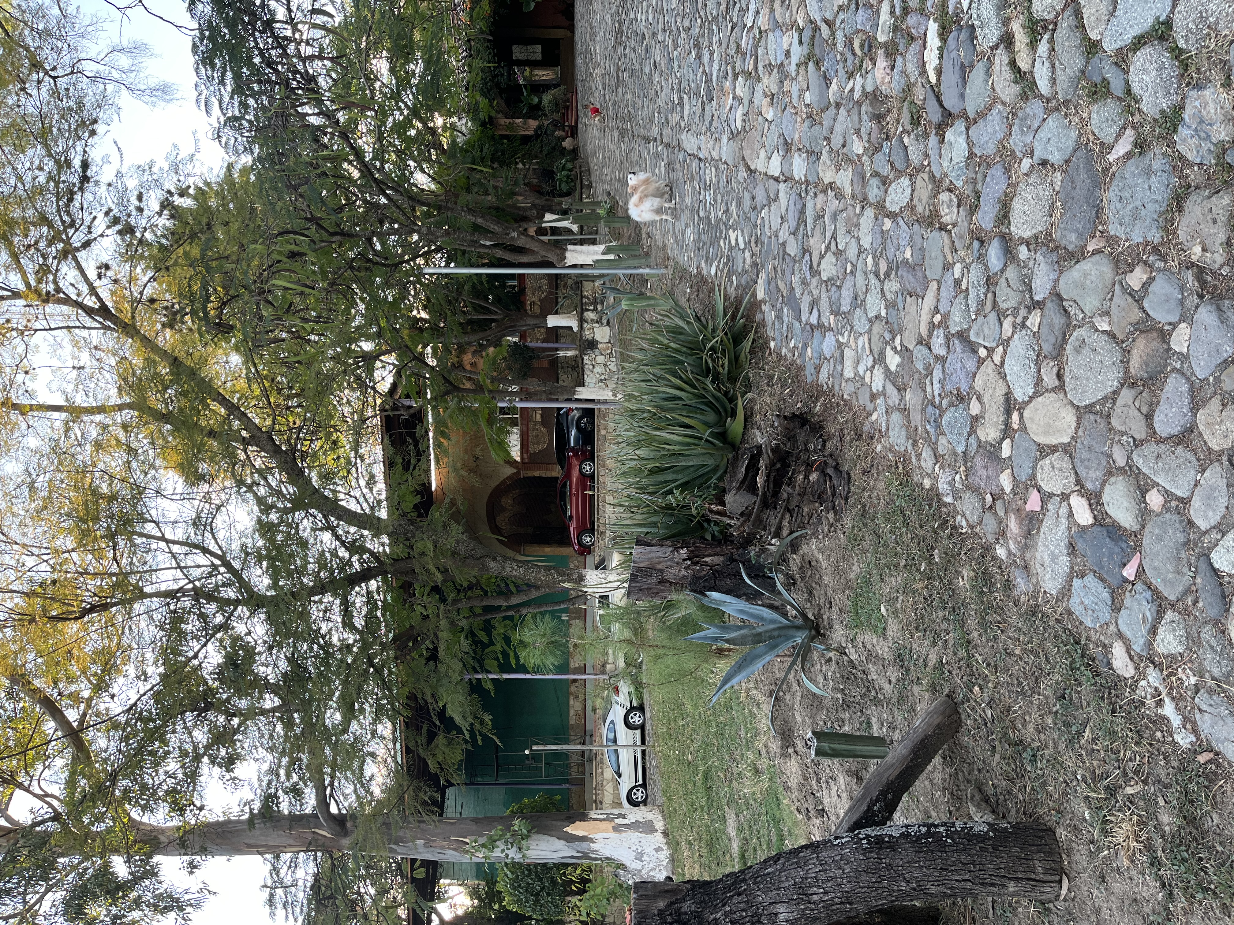 Haciendacordova - Hacienda Para Eventos en Oaxaxa, Oaxaca - Vista 8 de 37 de las instalaciones y espacios del lugar