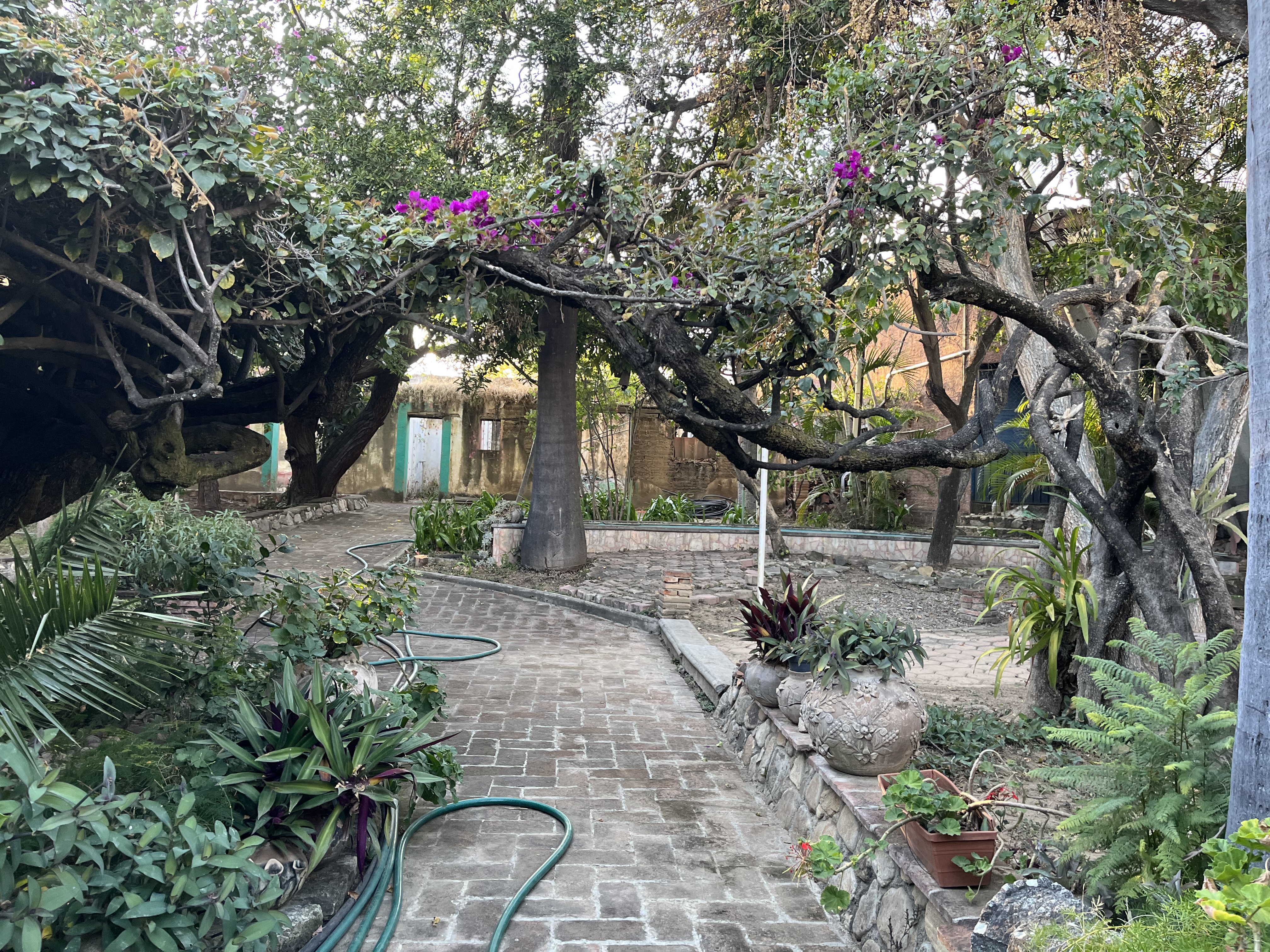 Haciendacordova - Hacienda Para Eventos en Oaxaxa, Oaxaca - Vista 9 de 37 de las instalaciones y espacios del lugar