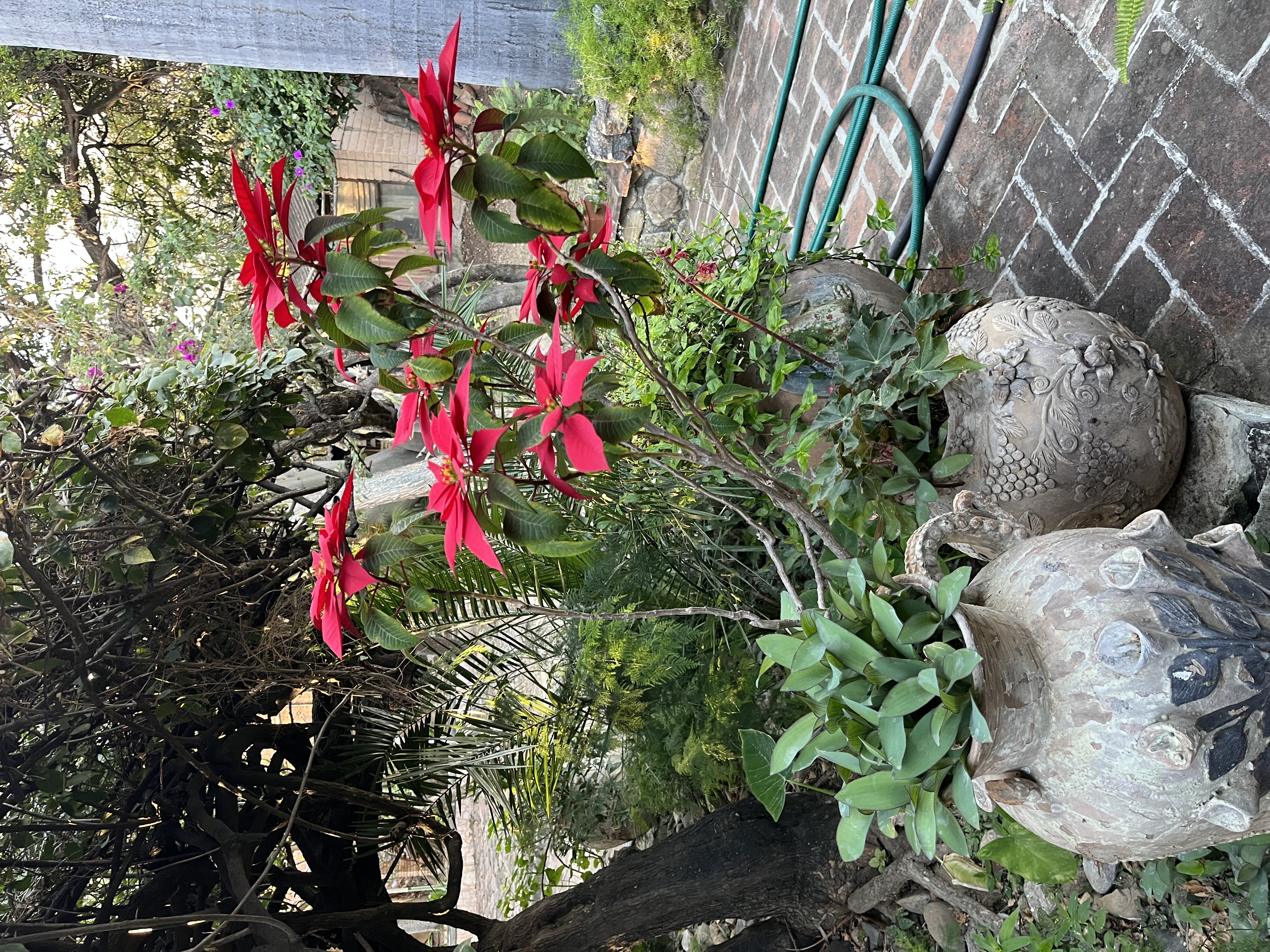 Haciendacordova - Hacienda Para Eventos en Oaxaxa, Oaxaca - Vista 10 de 37 de las instalaciones y espacios del lugar