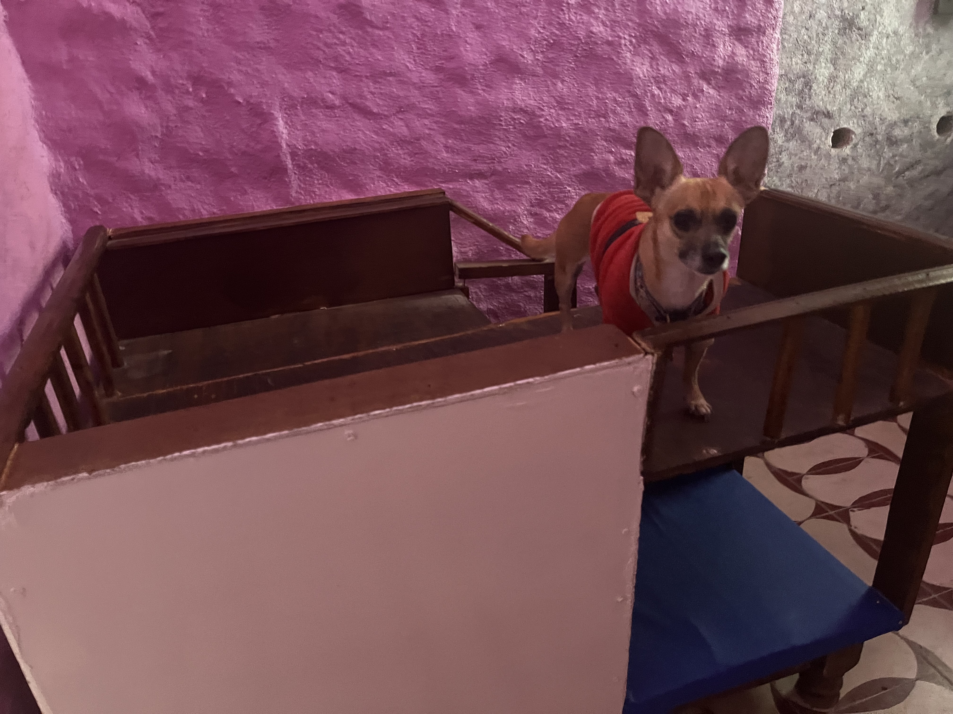 Haciendacordova - Hacienda Para Eventos en Oaxaxa, Oaxaca - Vista 13 de 37 de las instalaciones y espacios del lugar