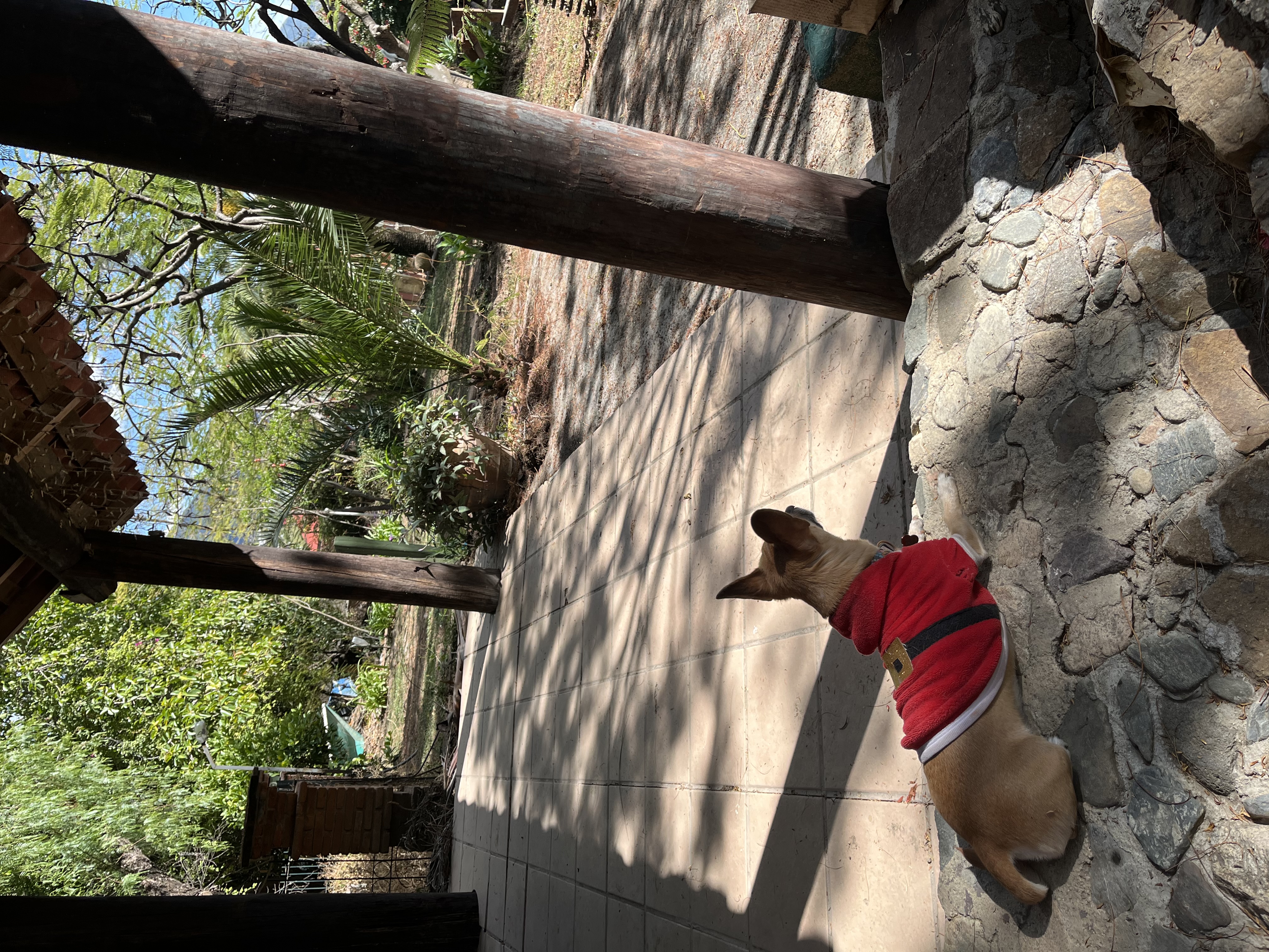 Haciendacordova - Hacienda Para Eventos en Oaxaxa, Oaxaca - Vista 14 de 37 de las instalaciones y espacios del lugar