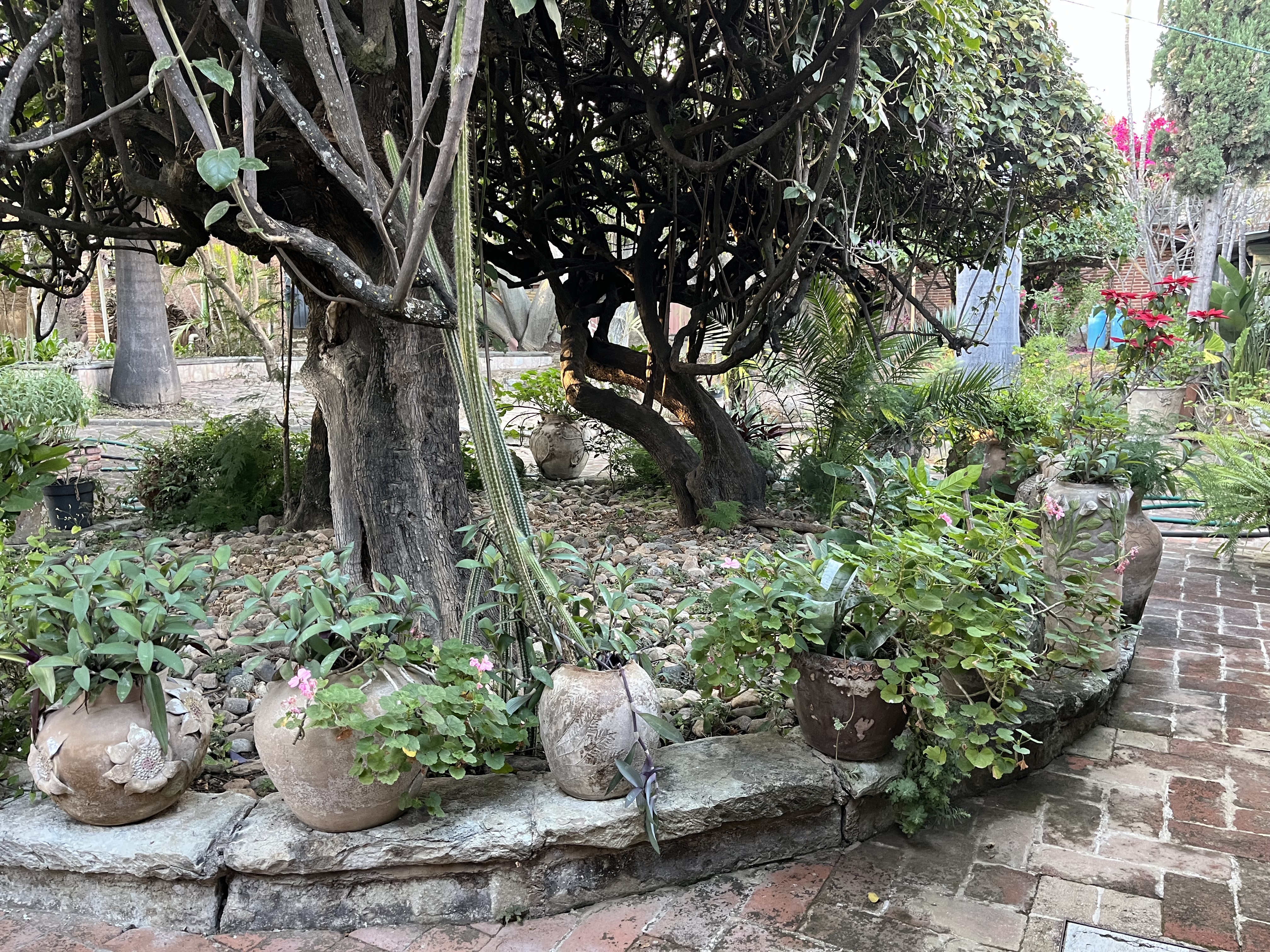 Haciendacordova - Hacienda Para Eventos en Oaxaxa, Oaxaca - Vista 17 de 37 de las instalaciones y espacios del lugar