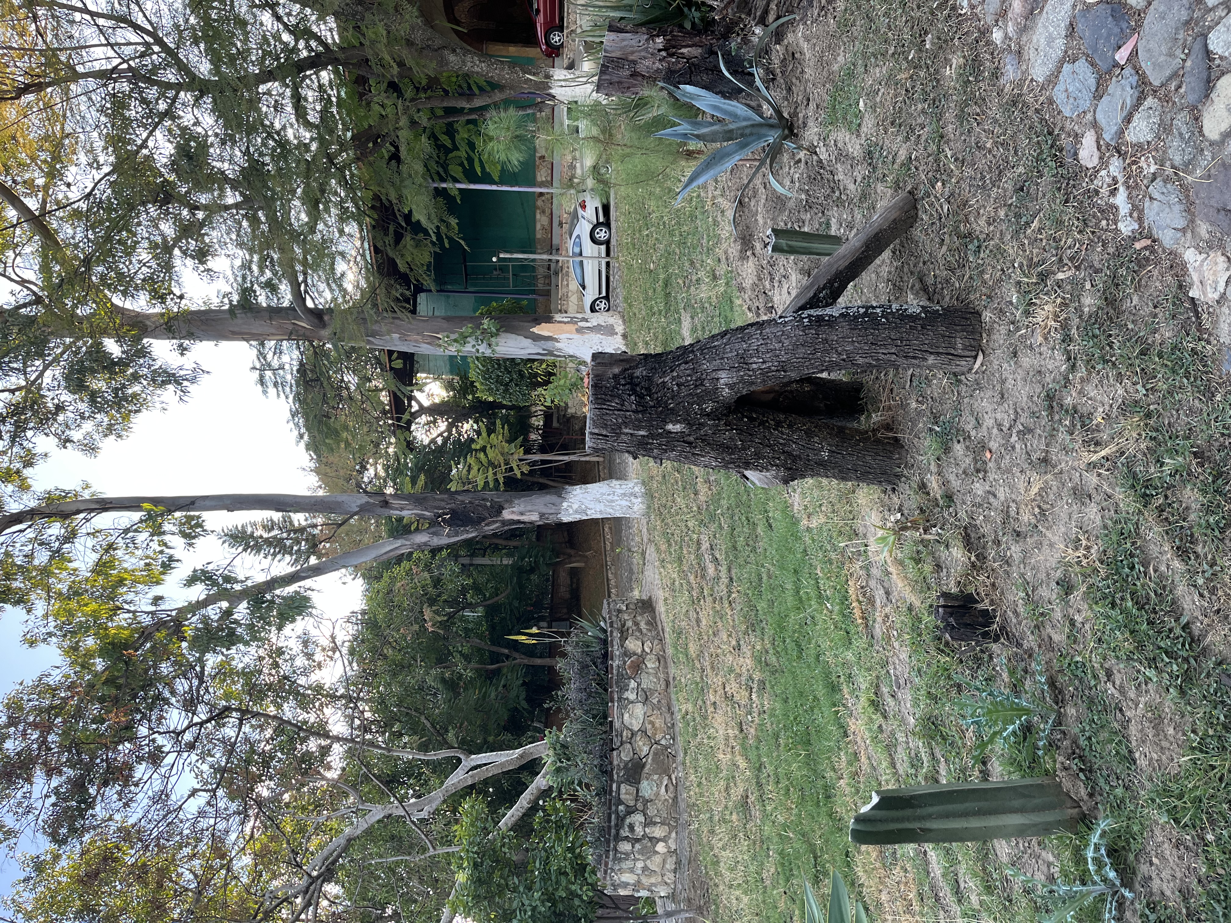 Haciendacordova - Hacienda Para Eventos en Oaxaxa, Oaxaca - Vista 19 de 37 de las instalaciones y espacios del lugar