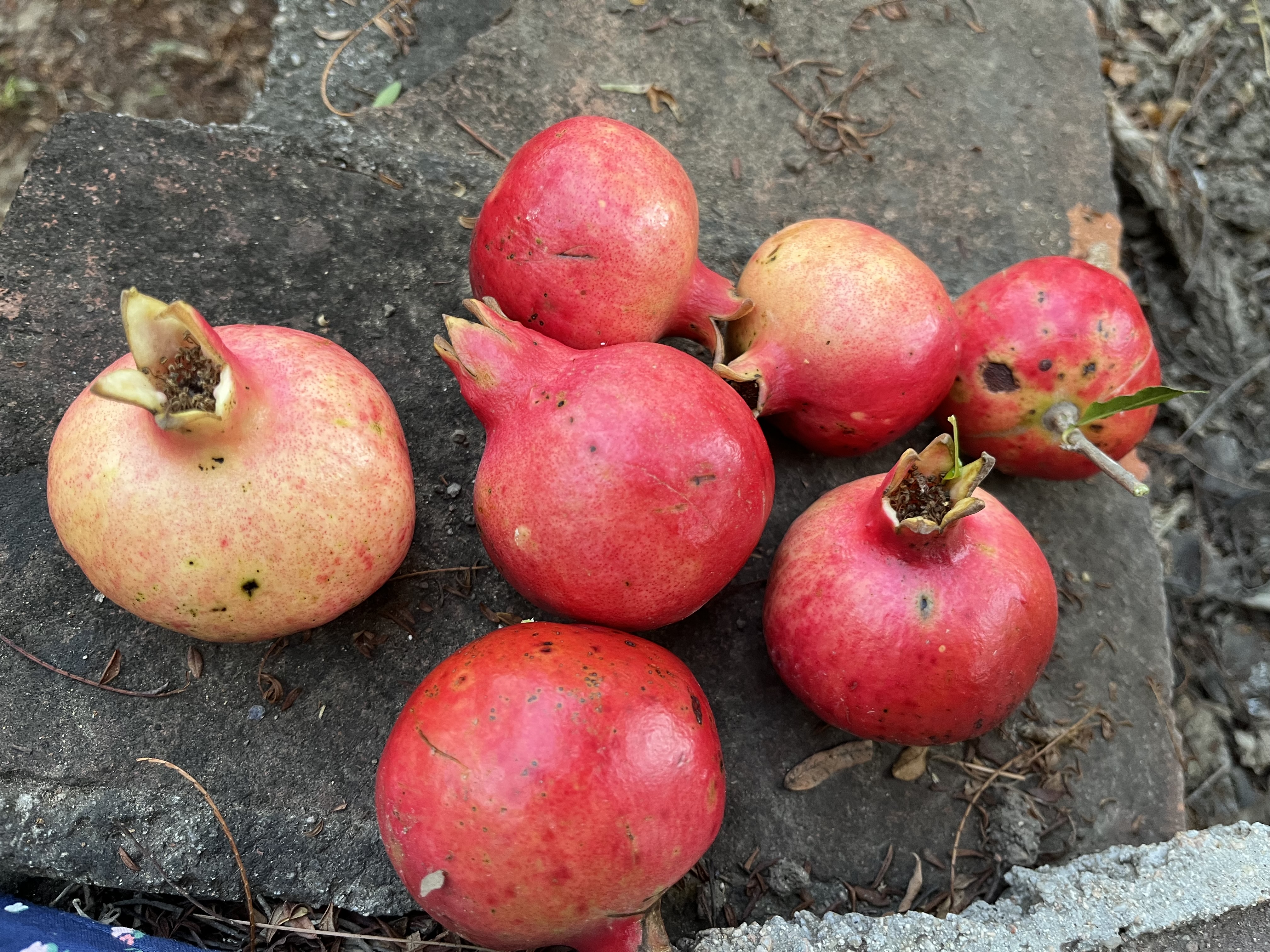 Haciendacordova - Hacienda Para Eventos en Oaxaxa, Oaxaca - Vista 20 de 37 de las instalaciones y espacios del lugar