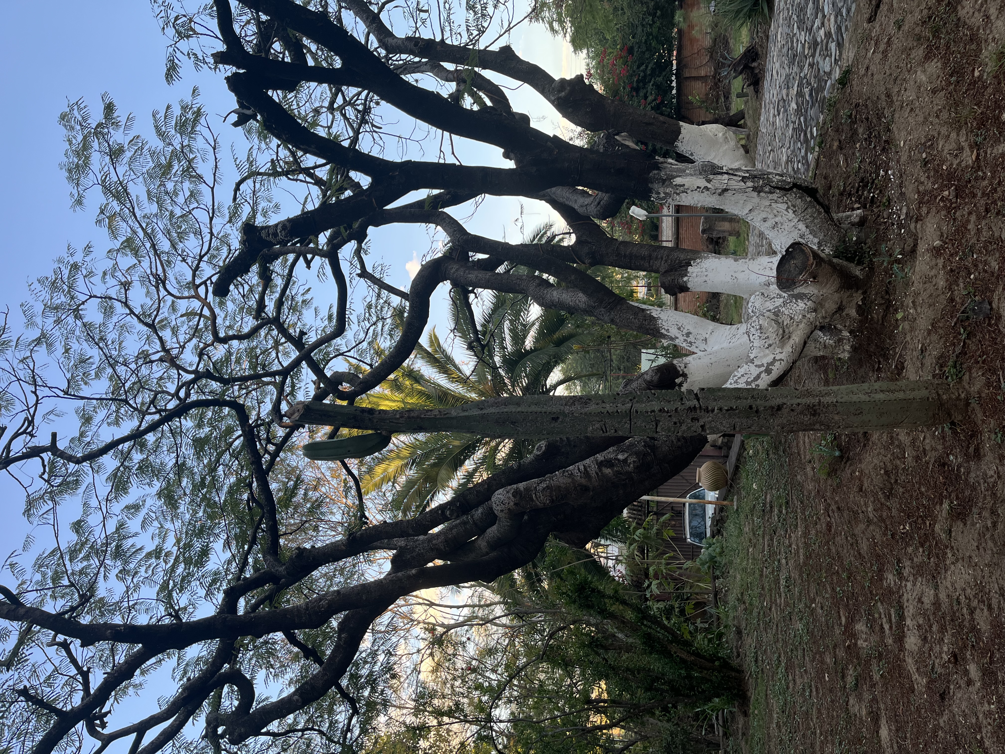 Haciendacordova - Hacienda Para Eventos en Oaxaxa, Oaxaca - Vista 21 de 37 de las instalaciones y espacios del lugar