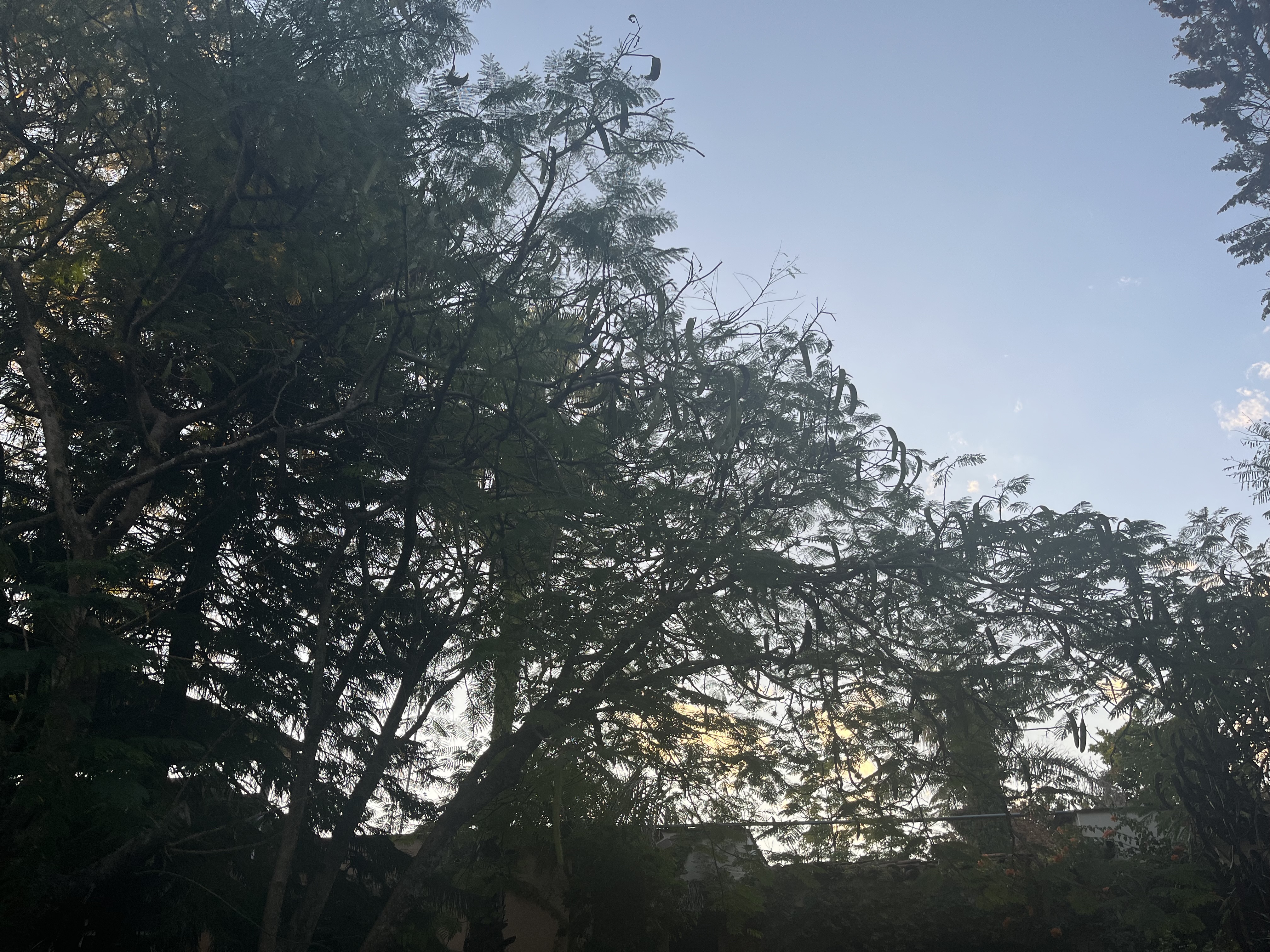 Haciendacordova - Hacienda Para Eventos en Oaxaxa, Oaxaca - Vista 22 de 37 de las instalaciones y espacios del lugar