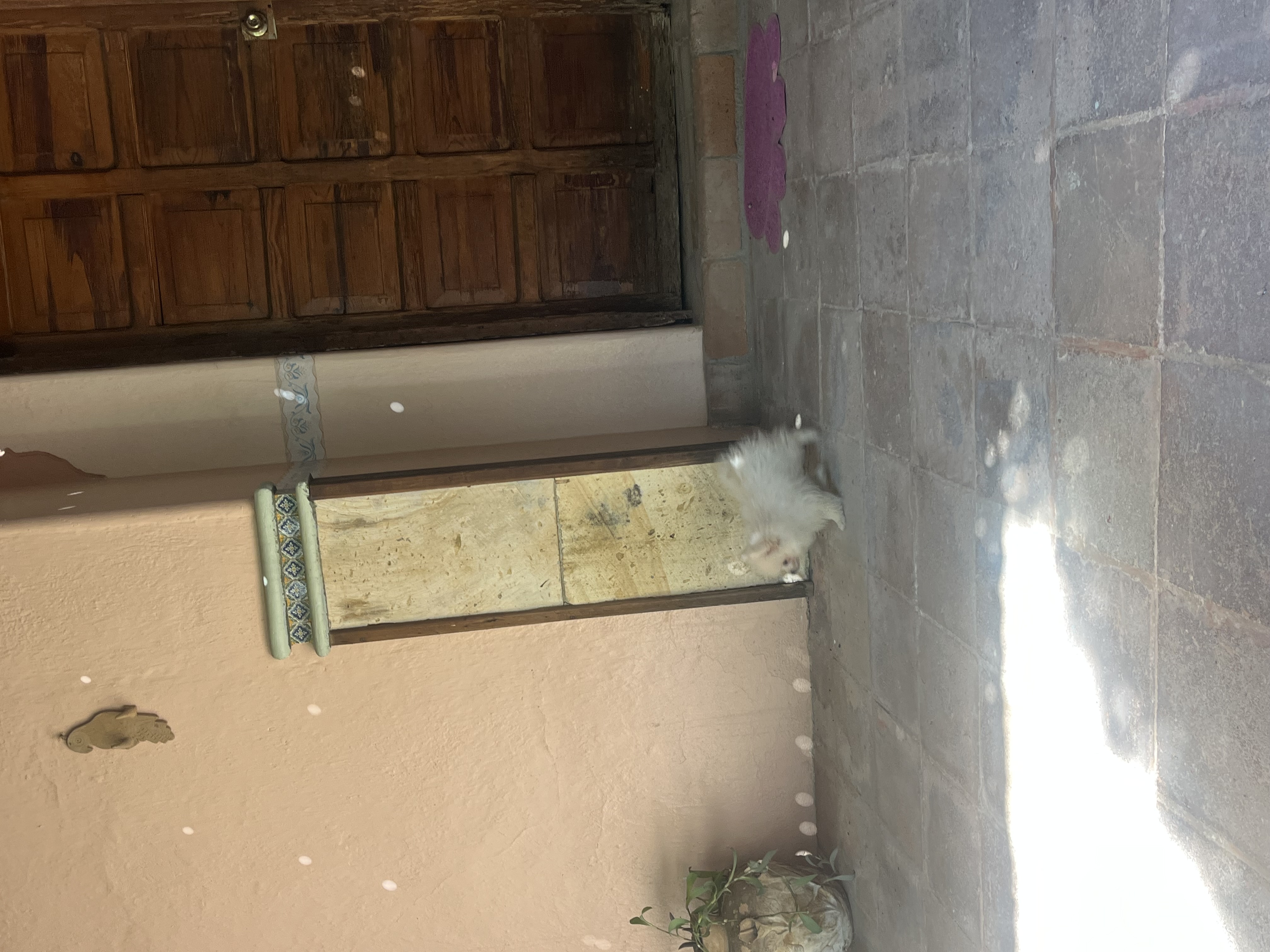 Haciendacordova - Hacienda Para Eventos en Oaxaxa, Oaxaca - Vista 29 de 37 de las instalaciones y espacios del lugar