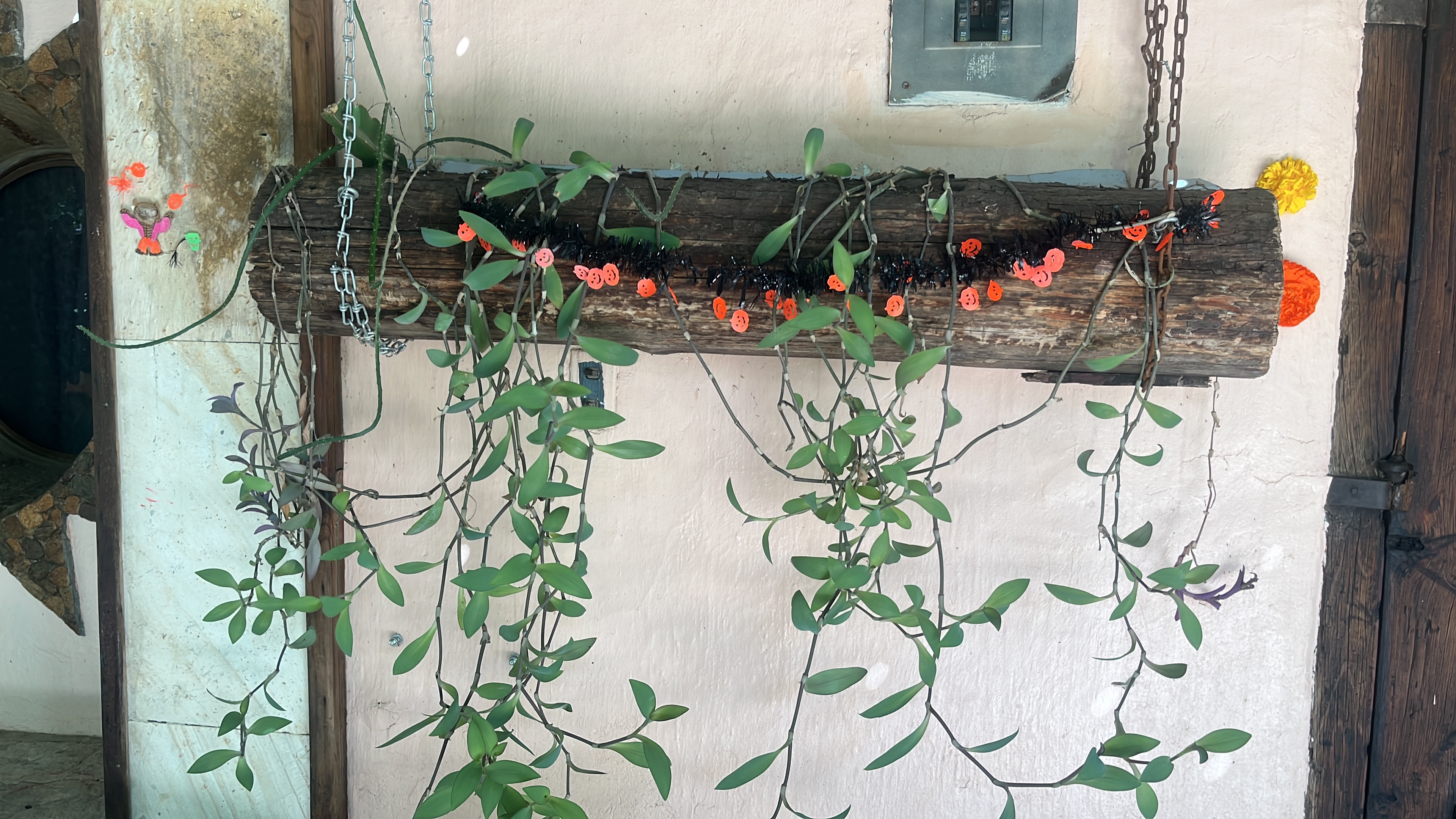 Haciendacordova - Hacienda Para Eventos en Oaxaxa, Oaxaca - Vista 32 de 37 de las instalaciones y espacios del lugar